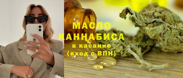 индика Богданович